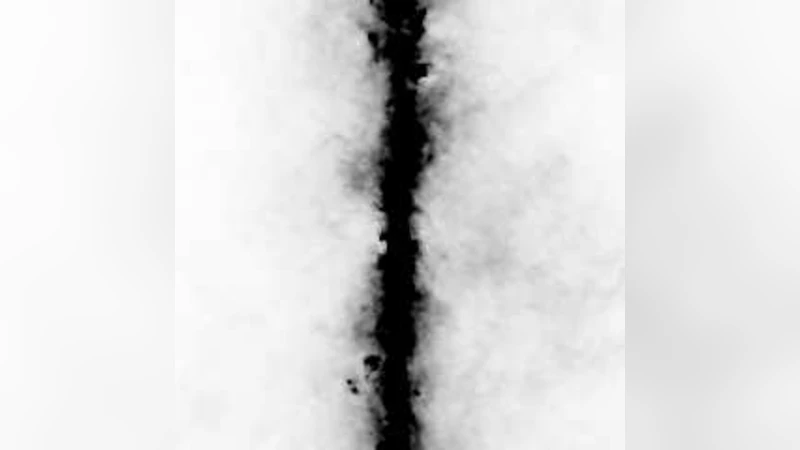 라이다 전파 전경을 밝히는 은하 이진성