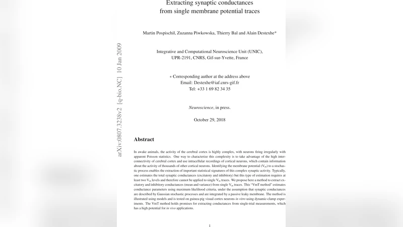 단일 전위 기록으로 시냅스 전도도 추정 방법