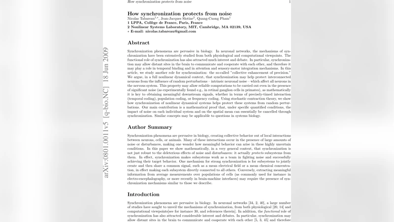 동기화가 잡음으로부터 뇌 신경을 보호한다