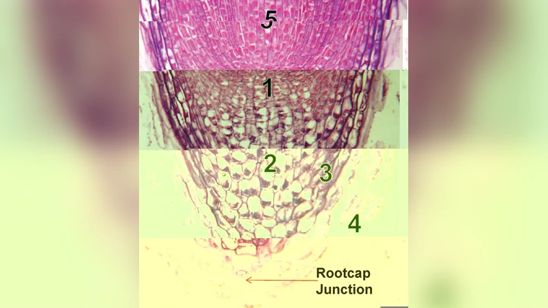 자율 비선형 동역학 시스템을 위한 반파라메트릭 모델링