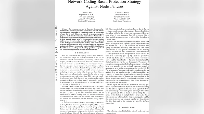 네트워크 코딩 기반 노드 장애 보호 전략