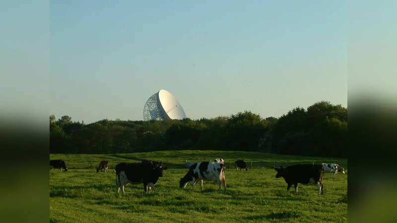 천체 트위터 실시간 관측 공유 플랫폼
