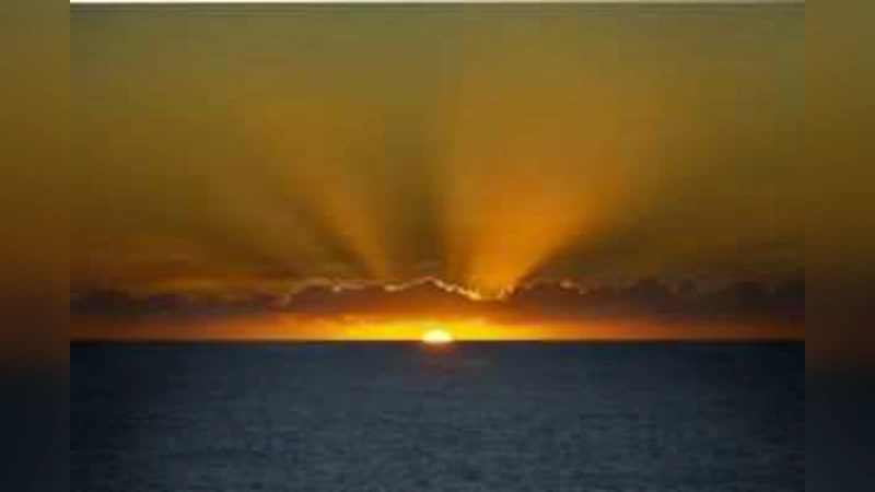 구조화된 P2P 네트워크를 통한 멀티미디어 브라우징 지원