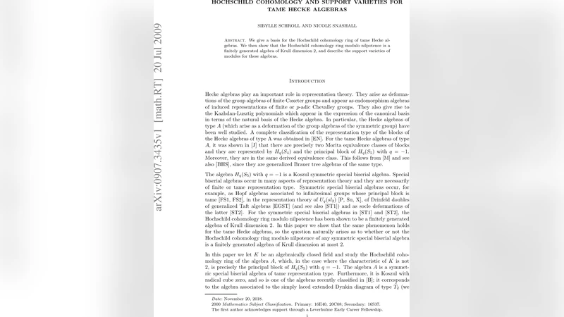 완만형 히케 대수의 Hochschild 동류와 지지 다양체