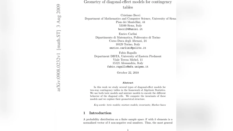 대각 효과 모델의 기하학적 구조 연구