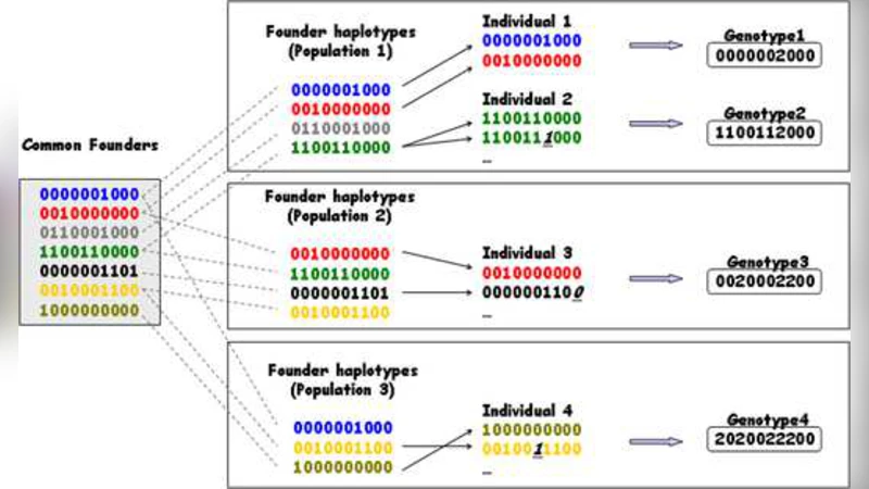 다중인구 데이터용 계층적 디리클레 프로세스 기반 하플로타입 재구성 모델