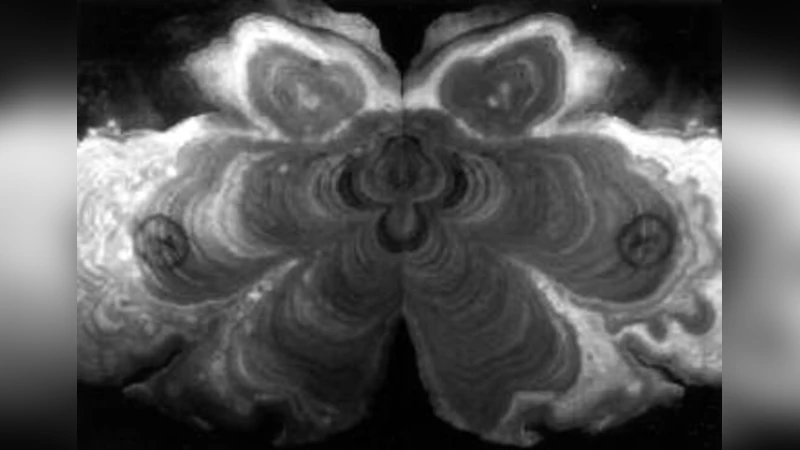 석회동굴 석회석 형성물 발광 활성제와 고기후 기록 오류 방지