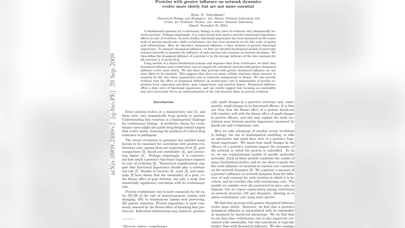 네트워크 동역학에 큰 영향을 미치는 단백질은 더 천천히 진화하지만 필수성은 높지 않다