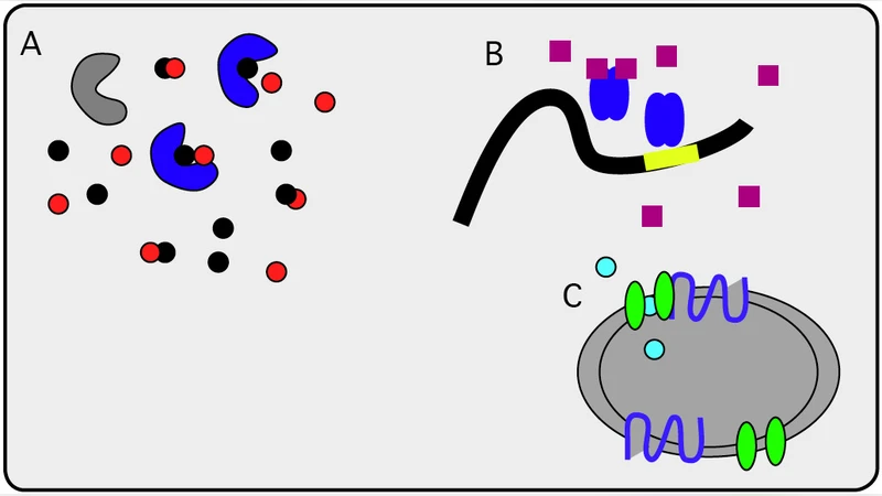 무한·유한 자유도 분자 시스템의 다중 스케일 분석