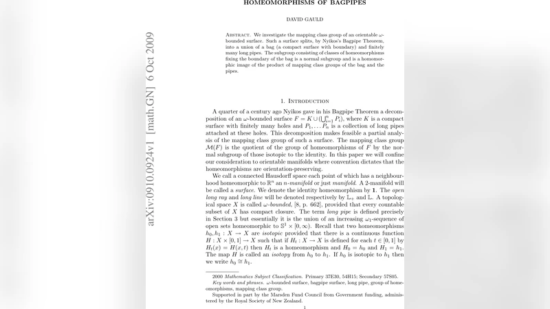 Bagpipe 표면의 동형사상군 연구