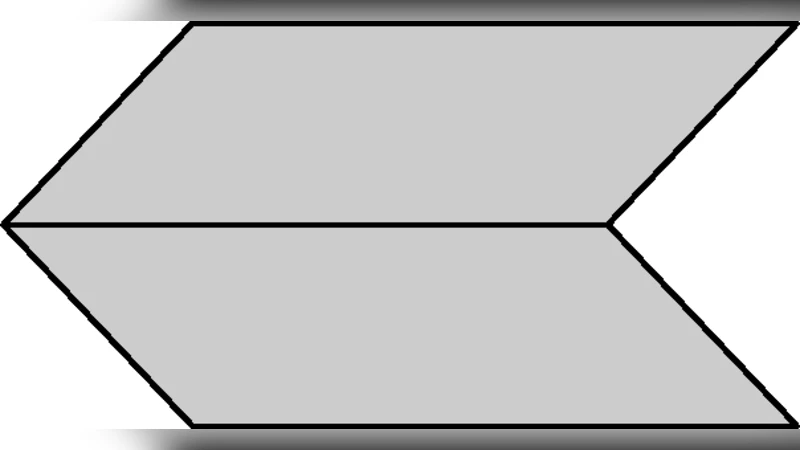 양안 경쟁 현상을 설명하는 양자 형식