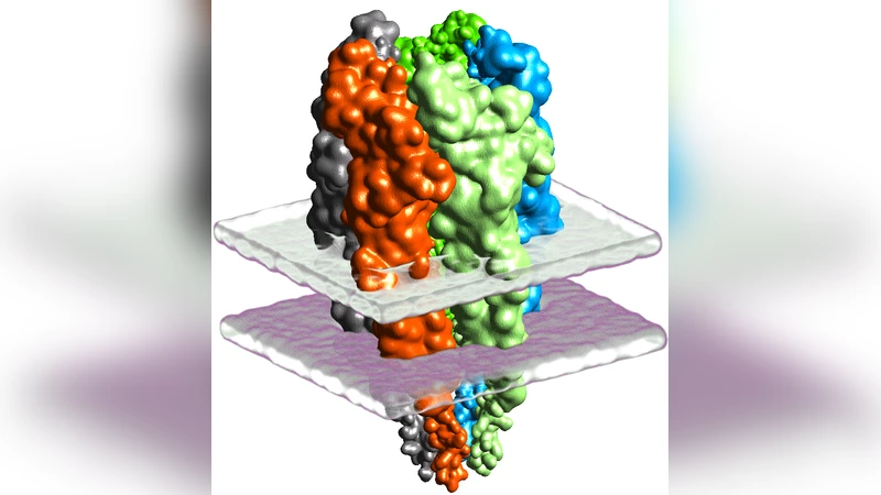 보완 공간을 통한 불확실성 및 동역학 시각화 강화