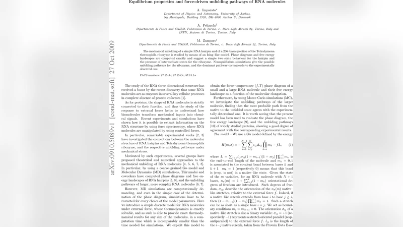 RNA 분자의 평형 특성 및 힘에 의한 전개 경로