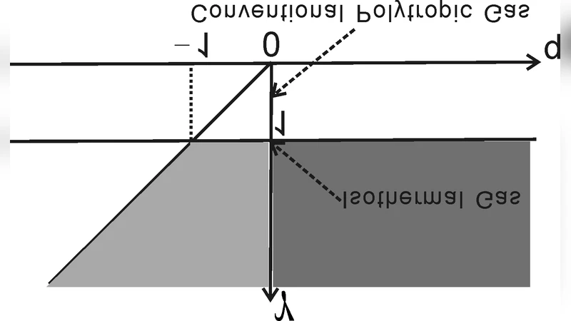 일반 다항식 자기유체의 자기중력 구멍과 충격파