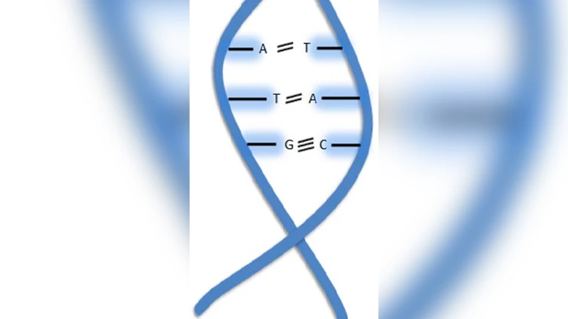 생물학 기반 컴퓨팅의 핵심과 미래