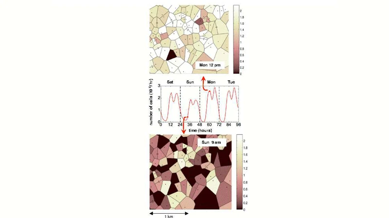 모바일 전화 기록으로 보는 개인과 집단 인간 동역학