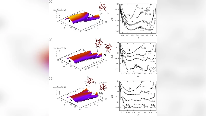 두 상태 접힘과 중간체 및 메타안정성 최소주의 HP 모델 연구