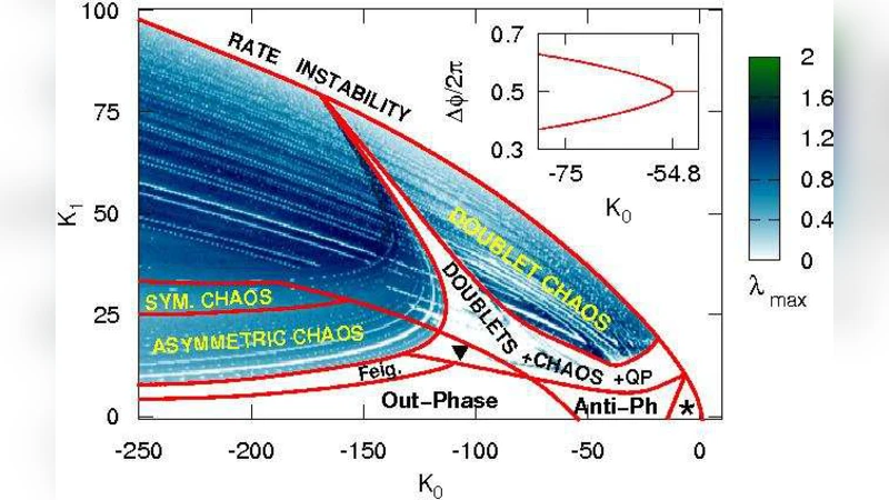 장거리 흥분과 국소 억제가 만든 신경망 진동의 시간적 탈동조화