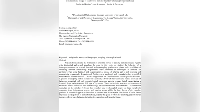 경계에서 발생하고 탈출하는 국소 파동 메커니즘