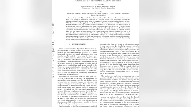 활성 네트워크에서 정보 전송 용량 분석