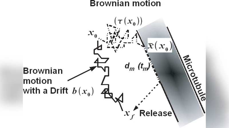 세포질 간헐적 운송 정량화