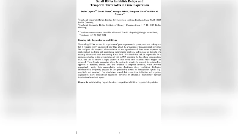 작은 RNA가 유전자 발현에 지연과 시간 임계값을 부여한다