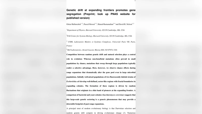 확장 전선에서 일어나는 유전적 표류가 유전자 구획을 만든다