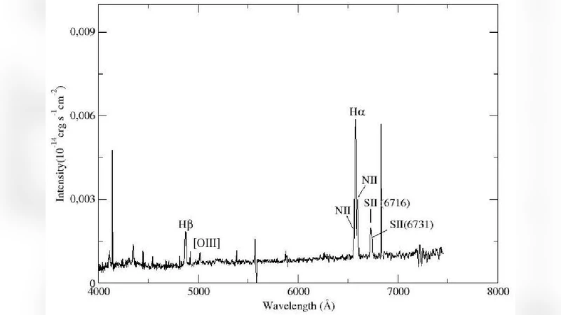 NGC 2903 은하에서 광학적 초신자 잔해 탐색