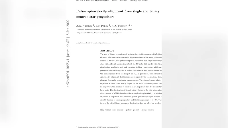 펄서 회전과 속도 정렬: 단일·이중성 전구체의 영향