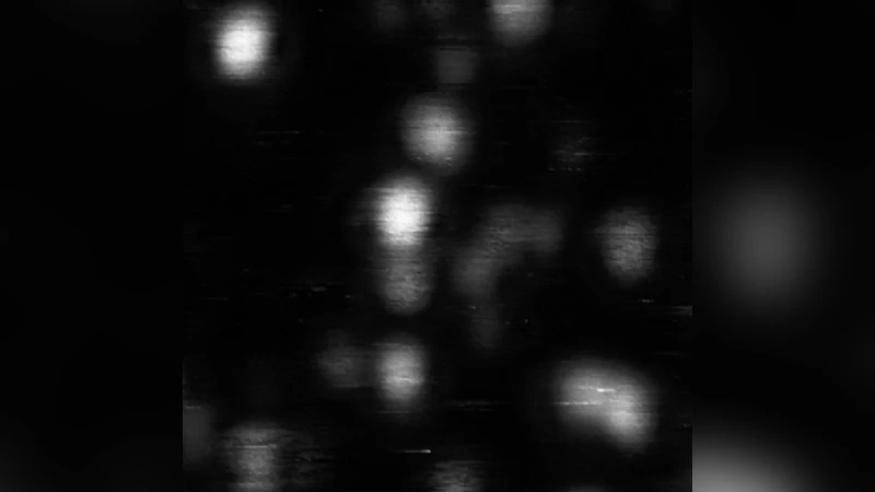 플루오레선트 나노다이아몬드 기반 FoF1‑ATP 합성효소 단일분자 FRET 모니터링