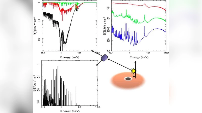활동 은하핵의 X선 흡수와 반사 메커니즘