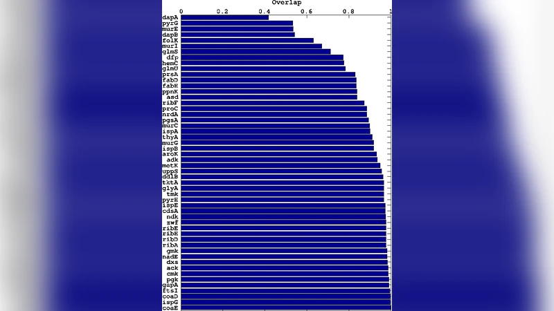 대사 최적화 원리로 보는 E. coli 필수 유전자 탐색