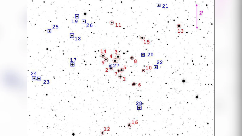 다항식 곱셈을 가속하는 새로운 DFT 기반 통합 알고리즘