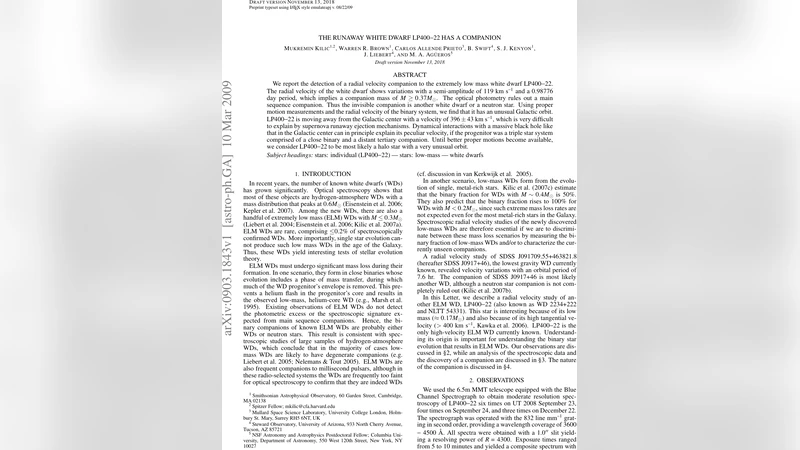 도망친 백색왜성 LP40022의 숨은 동반자