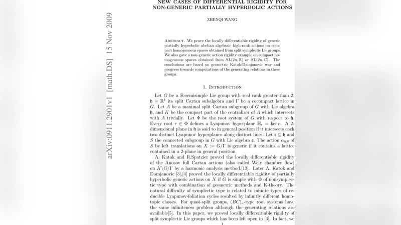 비일반 부분극단적 작용에 대한 새로운 차동 강직성 사례
