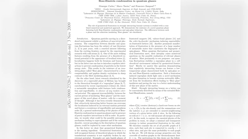 양자 유리에서 보스 아인슈타인 응축과 스핀 유리 상