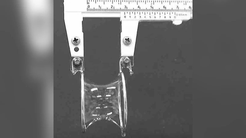 인시투 관찰을 통한 비누막 체노이드 실험