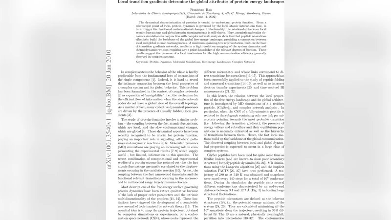 단백질 에너지 지형, 지역 전이 구배가 전체를 좌우한다