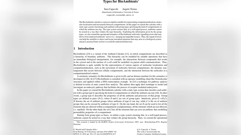 바이오앰비언트 타입 시스템과 오류 탐지 메커니즘