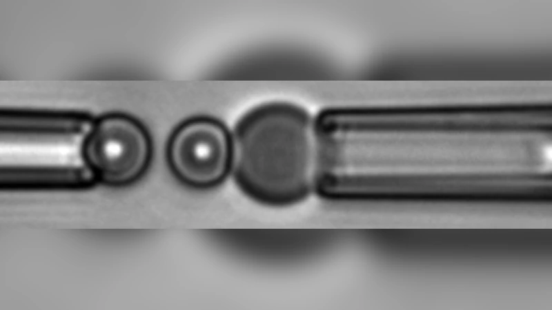 다중 결합 동적 힘 분광법: 실험과 모델링을 통한 새로운 해석