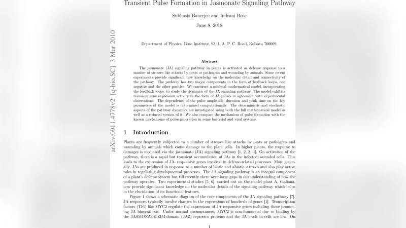 자스몬산 신호 경로의 일시적 펄스 형성 메커니즘