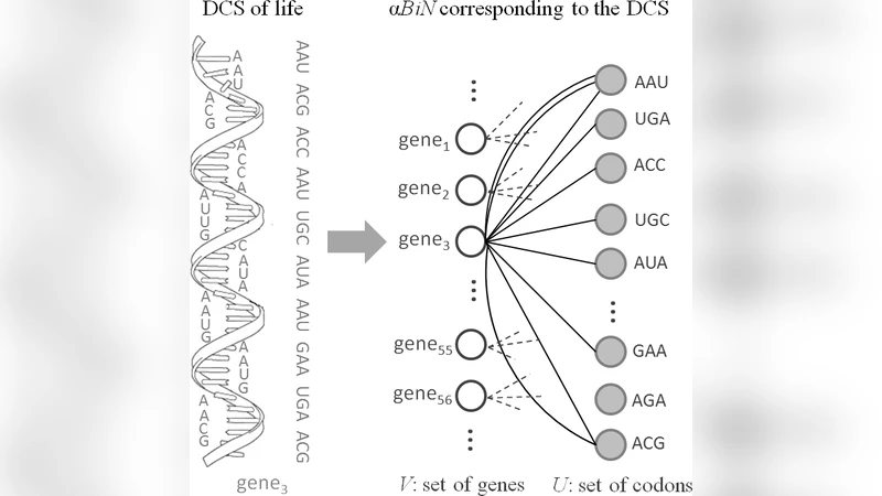 알파벳식 이분 그래프를 통한 생명·언어 조합 시스템 모델링