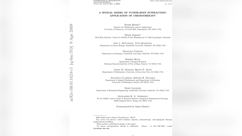 공간적 종양‑숙주 상호작용 모델과 화학요법 적용