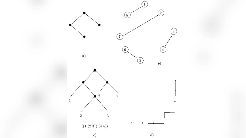 카탈란 수와 관련된 객체 코딩