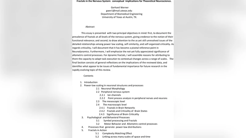 신경계 프랙탈과 이론 신경과학의 새로운 시각