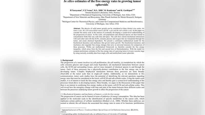 성장 종양 구체의 자유 에너지 속도 추정