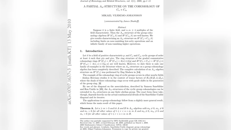 C n 곱 C m 의 코호몰로지에서 부분 A∞ 구조 탐구