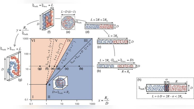 엔트로피가 세균을 구할까