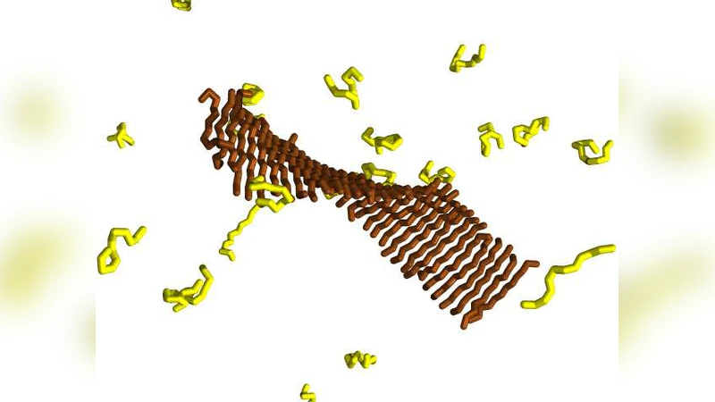 알파 나선과 베타 시트 펩타이드의 상도표