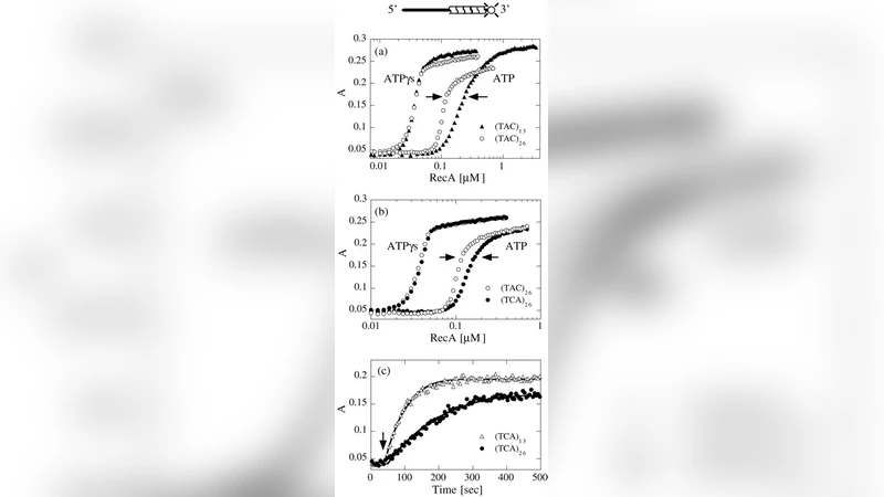 단백질 결합 변동을 이용한 고정밀 DNA 센싱